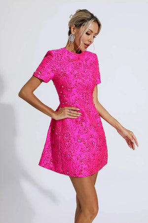Finicia Jacquard Mini Dress Winteres