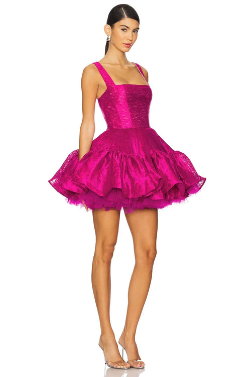 Aaliyah Mini Dress Winteres