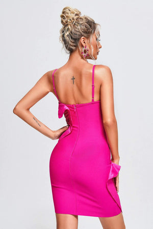 Adelaide Mini Dress Winteres