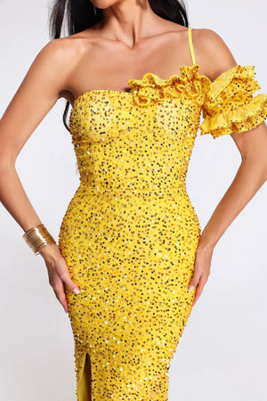 Tianna Soulder Maxi Dress Winteres