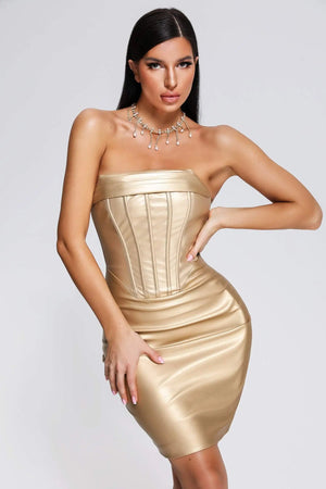 Hanett Mini Dress Winteres