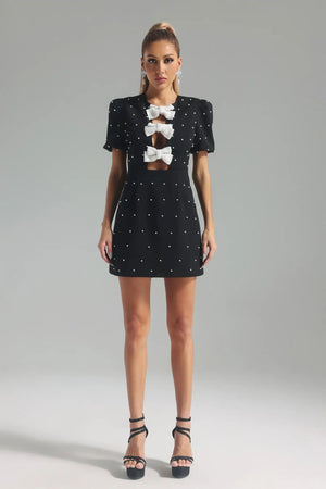 Siri Mini Dress Winteres