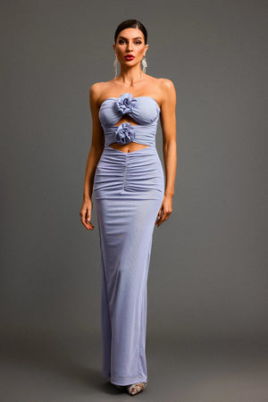 Ferlia Floral Tube Maxi Dress Winteres