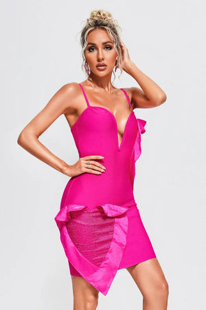 Adelaide Mini Dress Winteres