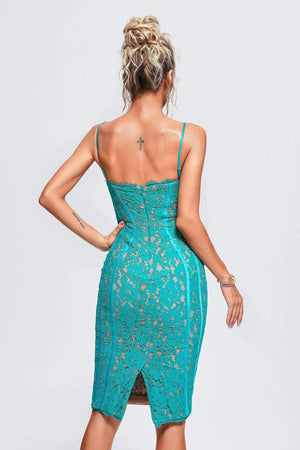 Women Ladies Dress Winteres