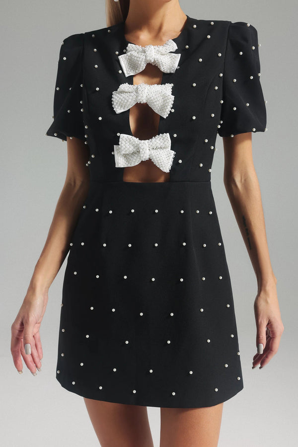 Siri Mini Dress Winteres