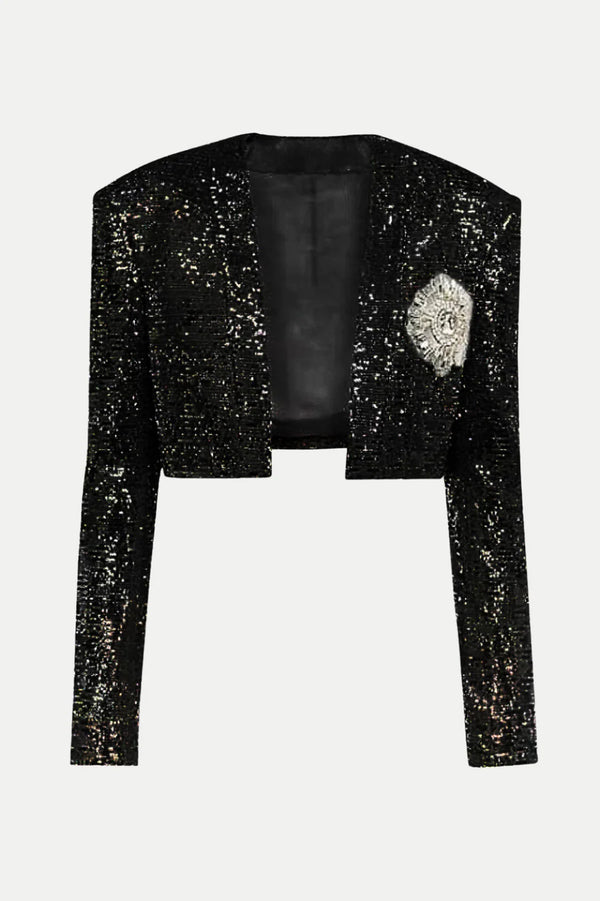Sequined Set Dress and Blazer Winteres