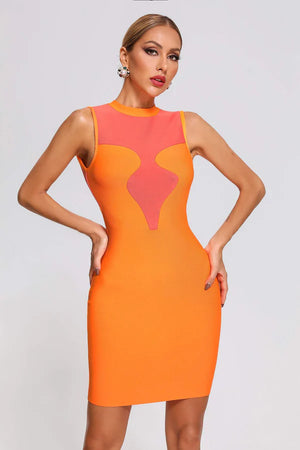 Lisa Mini Dress Winteres